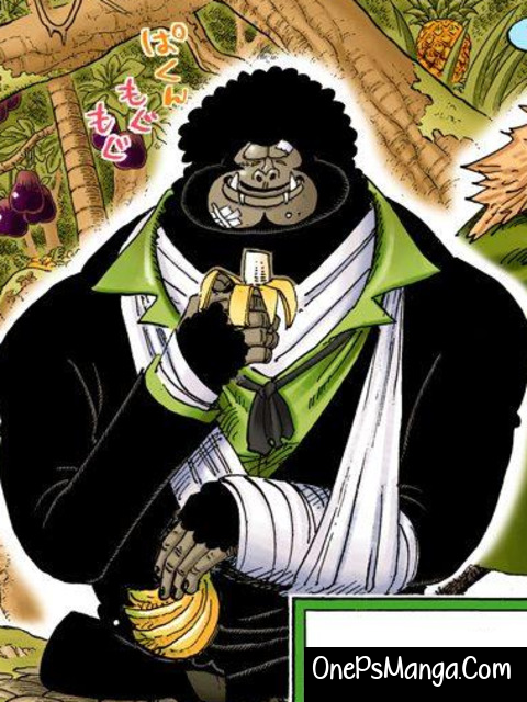 BB - One Piece Character