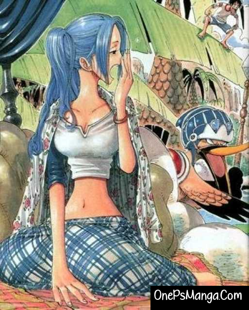 Nefertari Vivi - One Piece Character