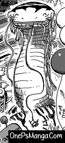 Nola - One Piece Character