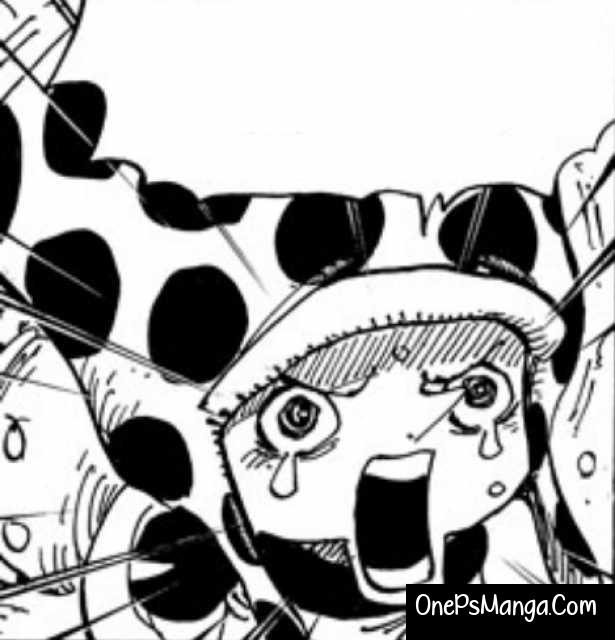 Flapper - One Piece Character