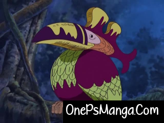 South Bird - One Piece Character