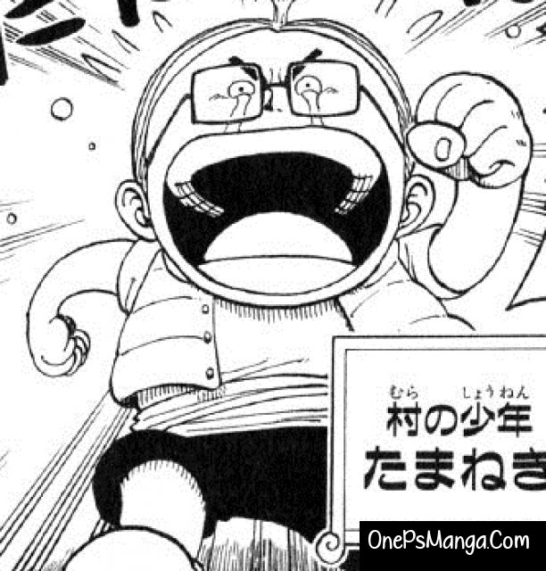 Onion - One Piece Character