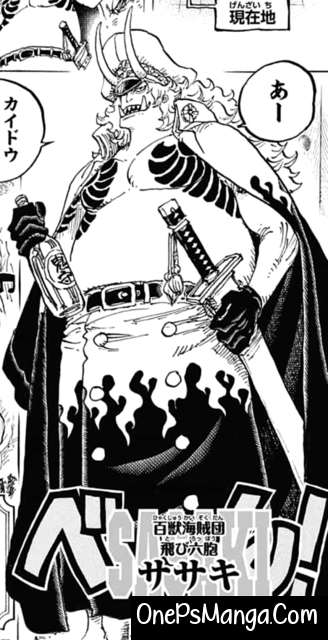 Sasaki - One Piece Character