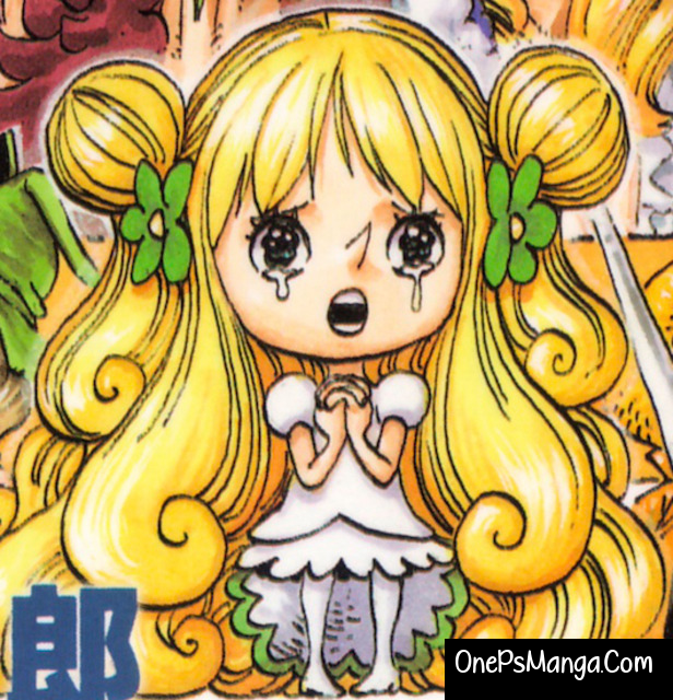 Mancherie - One Piece Character