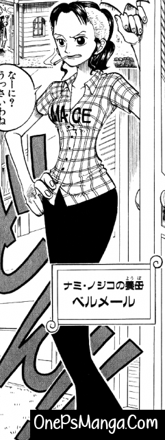 Belle-mère - One Piece Character