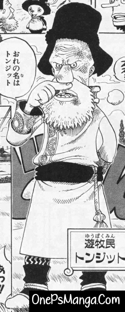 Tonjit - One Piece Character
