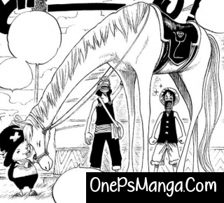 Shelly - One Piece Character