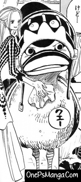 Karoo - One Piece Character