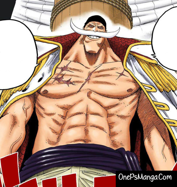 Whitebeard - One Piece Character