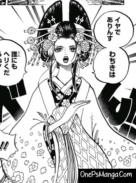 Kozuki Hiyori - One Piece Character