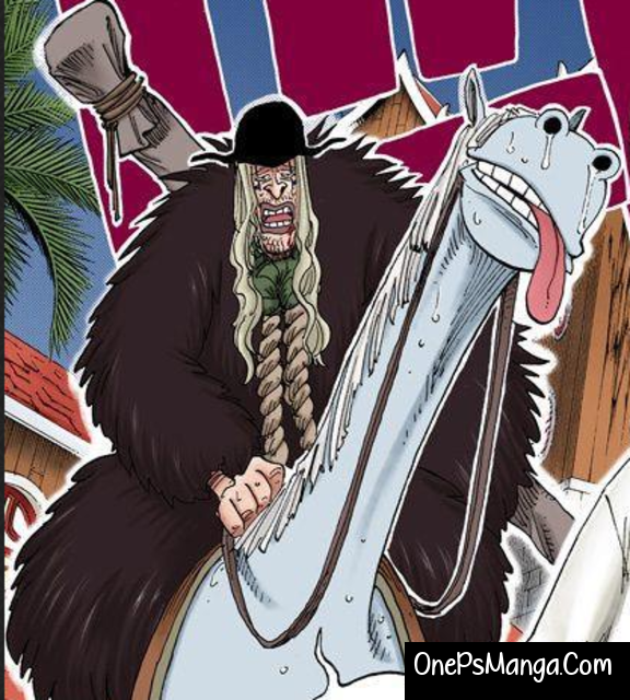 Doc Q - One Piece Character